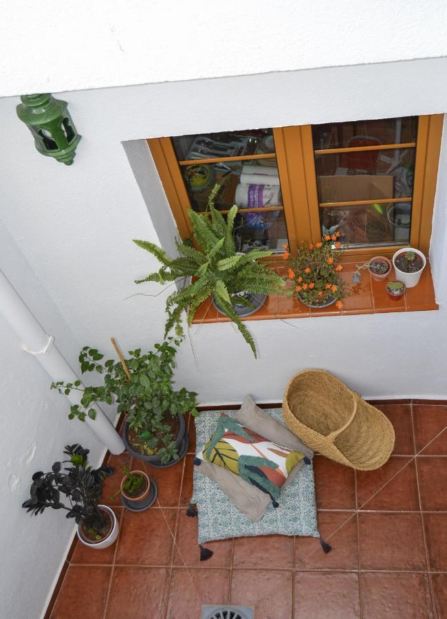 Casa Tipica Y Terraza, Maison Andalouse, Typical House With Rooftop 阿尔姆尼卡 外观 照片