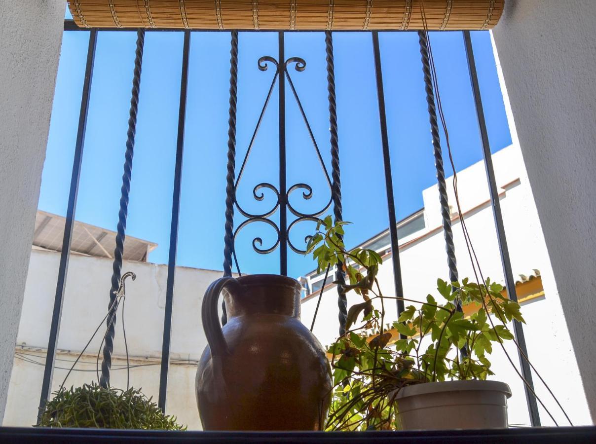 Casa Tipica Y Terraza, Maison Andalouse, Typical House With Rooftop 阿尔姆尼卡 外观 照片
